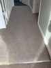 Choice Carpets