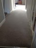 Choice Carpets